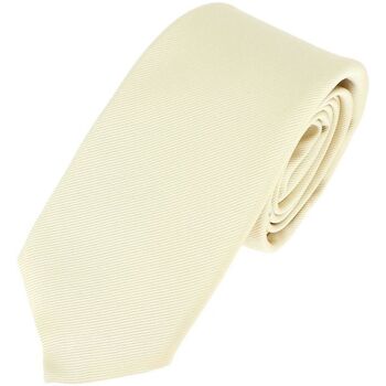Vêtements Homme Cravates et accessoires Tony & Paul Cravate 6 plis confection main Blanc