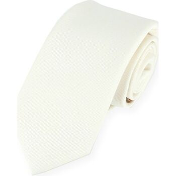 Vêtements Homme Cravates et accessoires Tony & Paul Cravate 6 plis confection main Blanc
