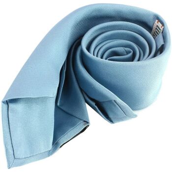 Vêtements Homme Cravates et accessoires Tony & Paul Cravate 6 plis confection main Bleu