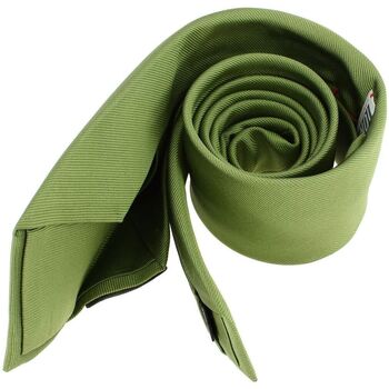 Vêtements Homme Cravates et accessoires Tony & Paul Cravate 6 plis confection main Vert