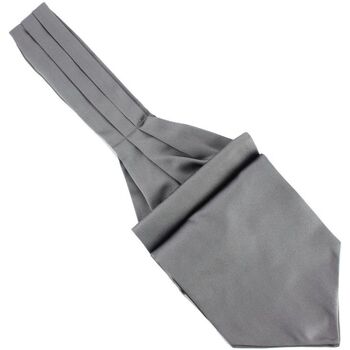 Vêtements Homme Cravates et accessoires Tony & Paul Lavallière à nouer Ascot Gris