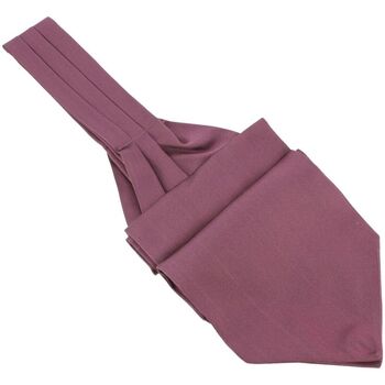 Vêtements Homme Cravates et accessoires Tony & Paul Lavallière à nouer Ascot Violet