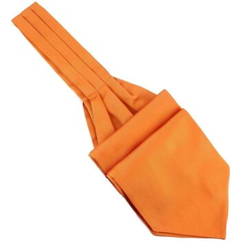Vêtements Homme Cravates et accessoires Tony & Paul Lavallière à nouer Ascot Orange