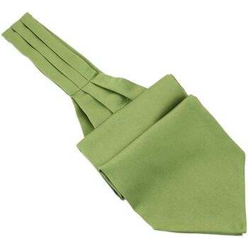 Vêtements Homme Cravates et accessoires Tony & Paul Lavallière à nouer Ascot Vert