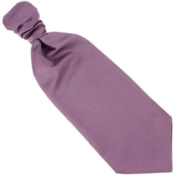 Vêtements Homme Cravates et accessoires Tony & Paul Lavallière de cérémonie FIGARO Violet
