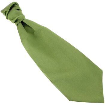 Vêtements Homme Cravates et accessoires Tony & Paul Lavallière de cérémonie FIGARO Vert