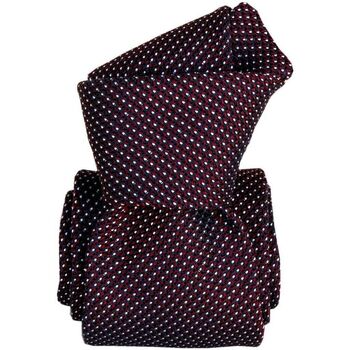 Vêtements Homme Cravates et accessoires Segni Et Disegni Cravate grenadine Paris IV Bordeaux