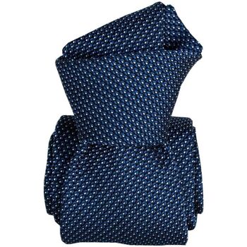 Vêtements Homme Cravates et accessoires Segni Et Disegni Cravate grenadine Paris IV Bleu