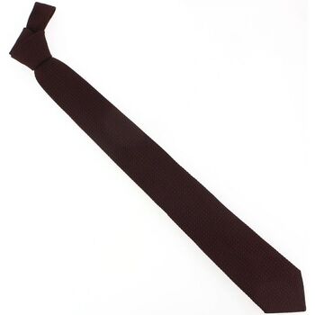 Vêtements Homme Cravates et accessoires Tony & Paul Cravate grenadine MARAVELLA Violet