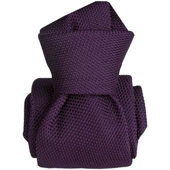 Vêtements Homme Cravates et accessoires Segni Et Disegni Cravate grenadine MARAVELLA Violet