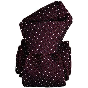Vêtements Homme Cravates et accessoires Segni Et Disegni Cravate grenadine Paris XVI Bordeaux