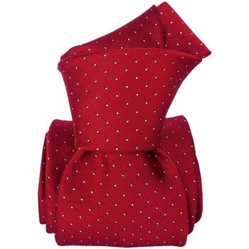 Vêtements Homme Cravates et accessoires Segni Et Disegni Cravate classique Palerme Rouge