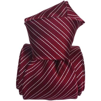 Vêtements Homme Cravates et accessoires Segni Et Disegni Cravate classique Come Rouge