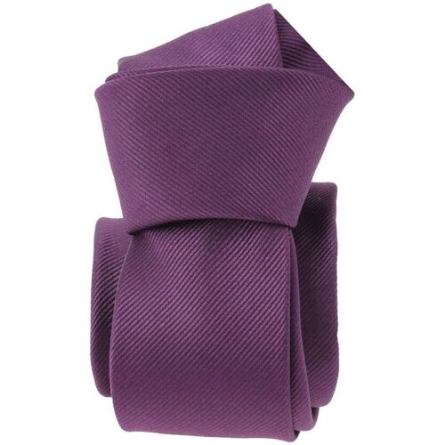 Vêtements Homme Cravates et accessoires Clj Charles Le Jeune Cravate slim Birmingham Violet