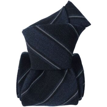 Vêtements Homme Cravates et accessoires Segni Et Disegni Cravate mogador Basilicata Bleu