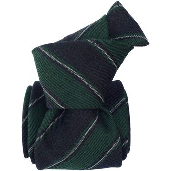 Vêtements Homme Cravates et accessoires Segni Et Disegni Cravate mogador Basilicata Vert