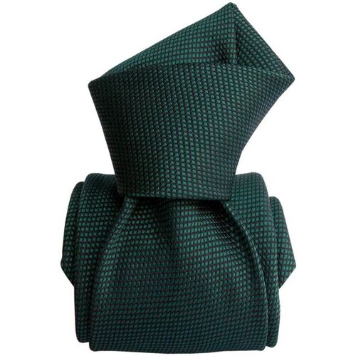 Vêtements Homme Cravates et accessoires Segni Et Disegni Cravate artisanale Trevise Vert