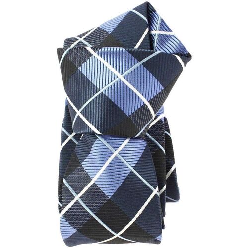 Vêtements Homme Cravates et accessoires Clj Charles Le Jeune Cravate slim London Bleu