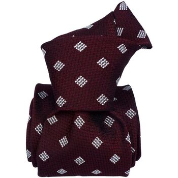 Vêtements Homme Cravates et accessoires Segni Et Disegni Cravate classique Bagheria Bordeaux