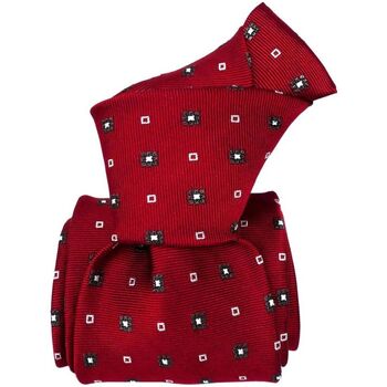 Vêtements Homme Cravates et accessoires Segni Et Disegni Cravate artisanale ALESSIA Rouge