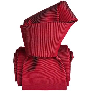Vêtements Homme Cravates et accessoires Segni Et Disegni Cravate classique Saglietta Rouge