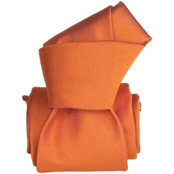 Vêtements Homme Cravates et accessoires Segni Et Disegni Cravate classique Saglietta Orange
