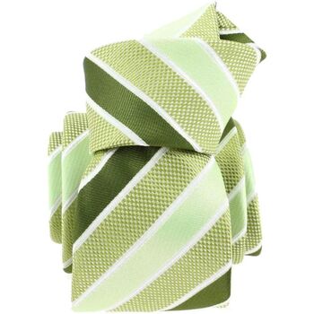 Vêtements Homme Cravates et accessoires Clj Charles Le Jeune Cravate via Boschetto Vert