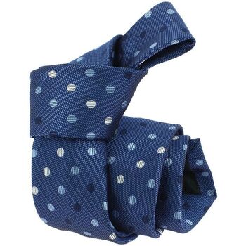 Vêtements Homme Cravates et accessoires Clj Charles Le Jeune Cravate Business Bleu