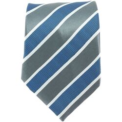 Vêtements Homme Cravates et accessoires Clj Charles Le Jeune Cravate Preppy club Gris