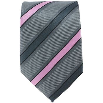 Vêtements Homme Cravates et accessoires Noeud Papillon Tricot Cornell Cravate club à rayures larges Gris