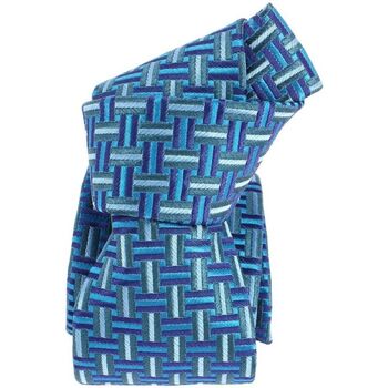 Vêtements Homme Cravates et accessoires Boivin Cravate étoile lignes art déco Bleu