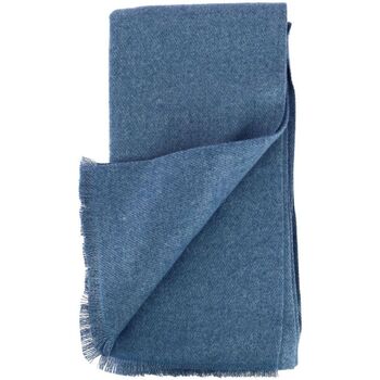 Accessoires textile Homme Tops / Blouses Chevignon Echarpe Elric Bleu