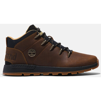 Chaussures Homme Baskets mode Timberland Sptk mid lace sneaker Marron