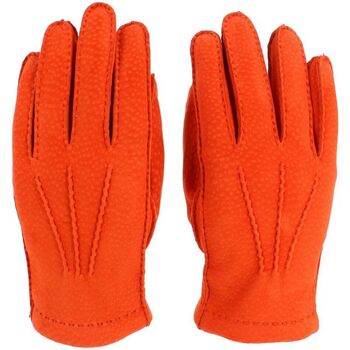 gants tony & paul  gants buenos aires 