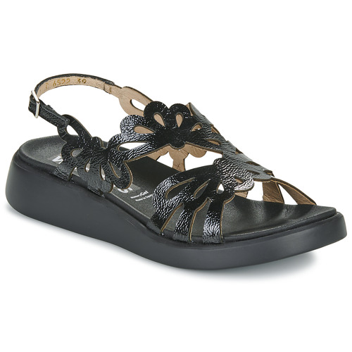 Chaussures Femme Petit : 1 à 2cm Wonders C-6522 Noir