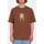 Vêtements Homme T-shirts manches courtes Volcom Camiseta  Todd Bratrud 2 SS Burro Brown Marron