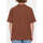 Vêtements Homme T-shirts manches courtes Volcom Camiseta  Todd Bratrud 2 SS Burro Brown Marron