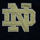 Vêtements Homme Sweats Stadium Athletic Pull Stadium Athletic Notre Dame Fighting Irish NCAA Marine