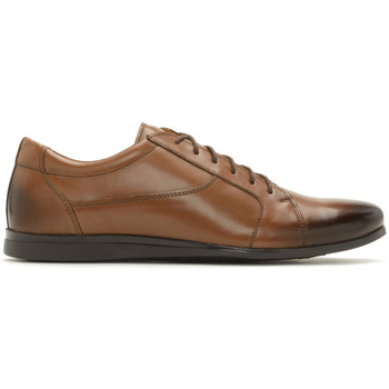 Chaussures Derbies & Richelieu Ryłko IDWF01__ _RM8 Marron