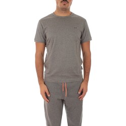 Vêtements Homme T-shirts manches courtes Sun68 T43101 Gris