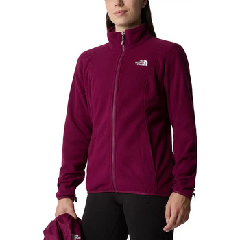 The North Face Evolve II Triclimate Violet
