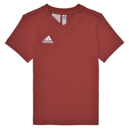 Vêtements Garçon T-shirts manches courtes con adidas Performance ENT22 TEE Y Rouge