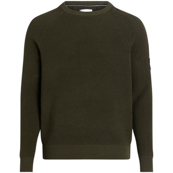 Vêtements Homme Sweats Calvin Klein Jeans Pull  Ref 61462 LLP Kaki Vert