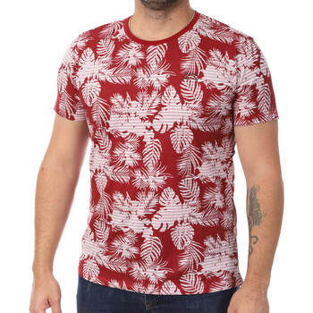 Vêtements Homme T-shirts Classic courtes Lee Cooper LEE-011126 Rouge