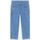Vêtements Homme Jeans Bolsos Dickies GARYVILLE - DK0A4XECCLB1-CLASSIC BLUE Bleu