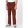 Vêtements Homme Pantalons Dickies HIGGINSON PANT - DK0A4XIKG041-FIRED BRICK Rouge