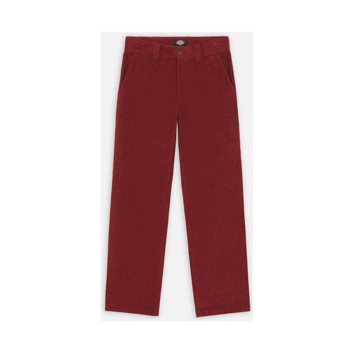 Vêtements Homme Pantalons Dickies HIGGINSON PANT - DK0A4XIKG041-FIRED BRICK Rouge