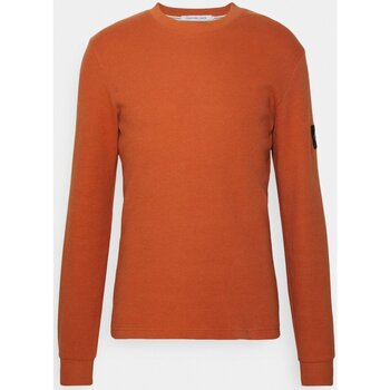 Vêtements Homme T-shirts manches longues Calvin Klein Jeans J30J323485 Orange