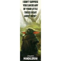Linge de maison Affiches / posters Star Wars: The Mandalorian PM2558 Multicolore