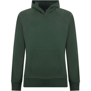Vêtements Homme Polos manches longues The North Face NF0A2ZWUI0P1 Vert
